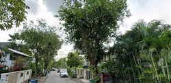 Henry Park (D10), Semi-Detached #571802481